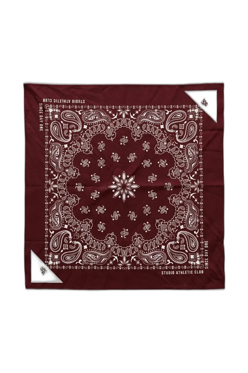 Bandana Cool Run